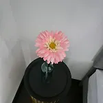 Cosima Διαμέρισμα