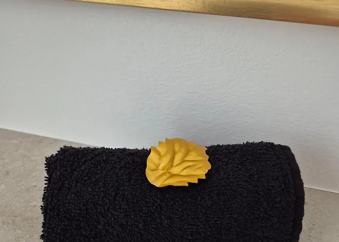 Daire Cosima Hohenroth