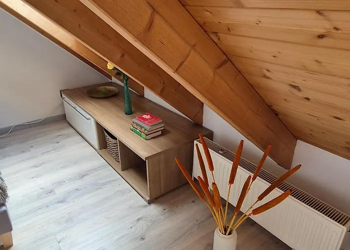 Daire Cosima Hohenroth